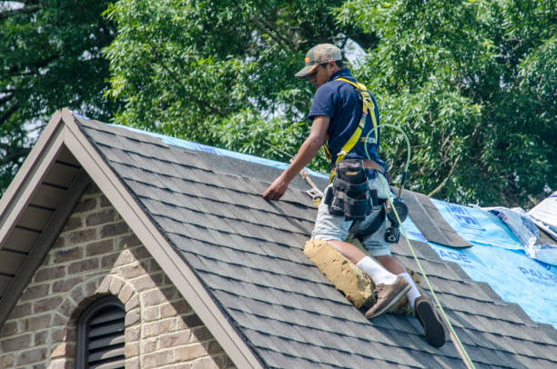 Best Roof Gutter Cleaning  in Adamsville, AL
